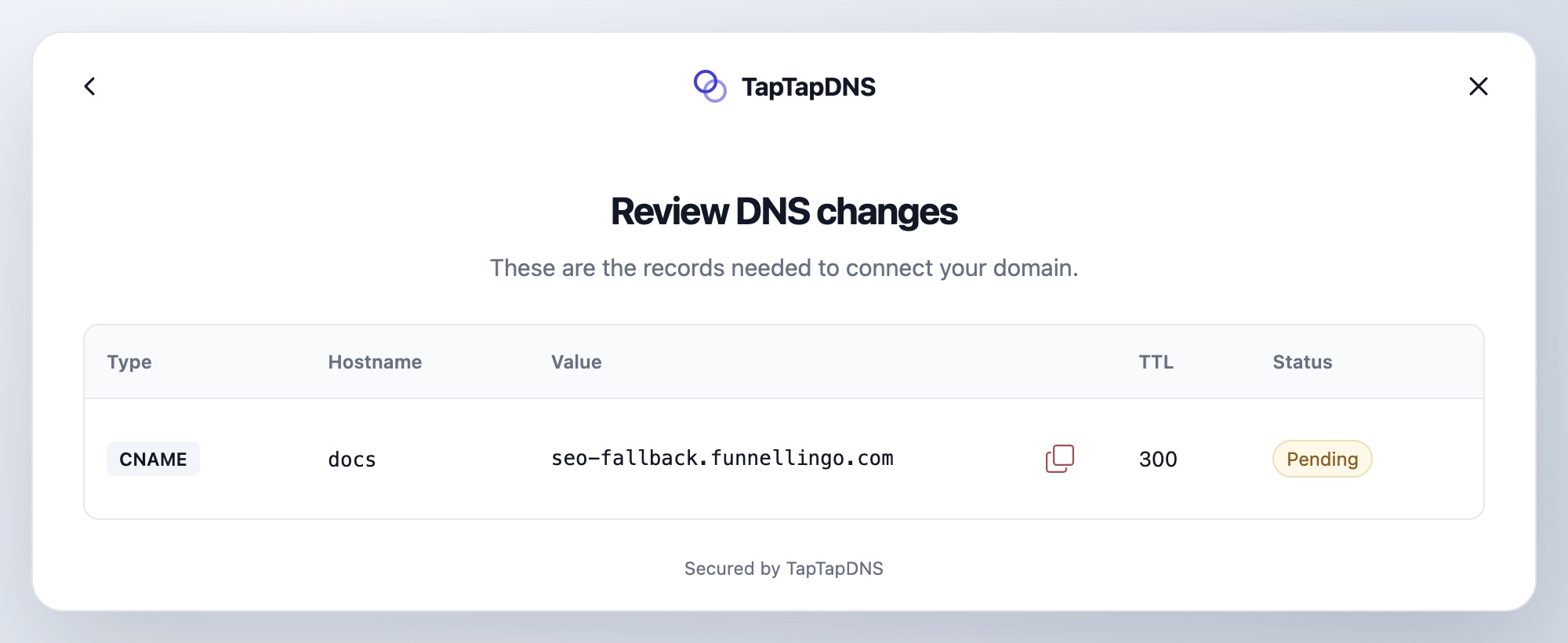 Record review showing the CNAME hostname, destination, TTL and pending status.